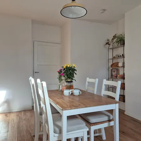 Zon In Mij Rijsbergen